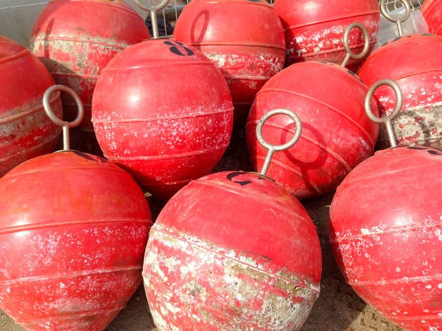 Plastic Marine Life Buoy - Image 2